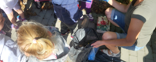 GRUPA II- SPRZĄTANIE ŚWIATA